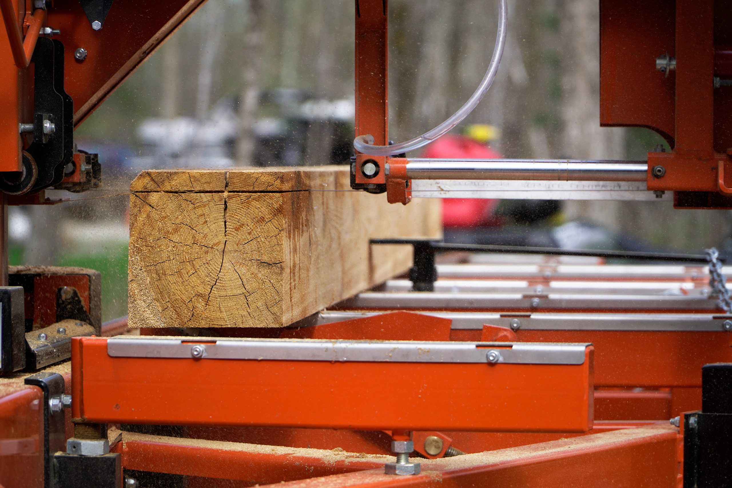 Sawmill Cutting Timber